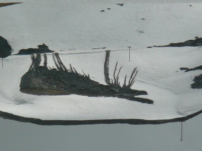 Le Monstre du Pourri