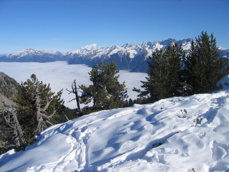 Le Mt Blanc et la chaîne de la Lauzière au dessus