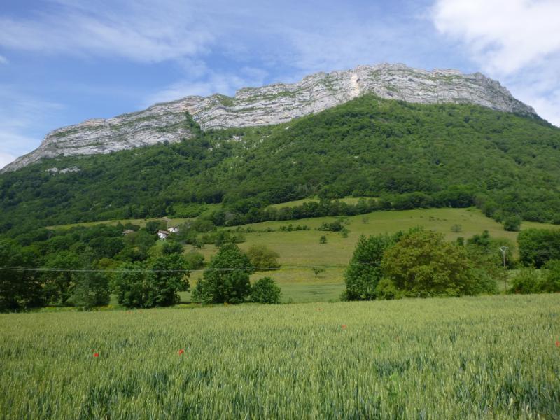 Le Néron au dessus des champs