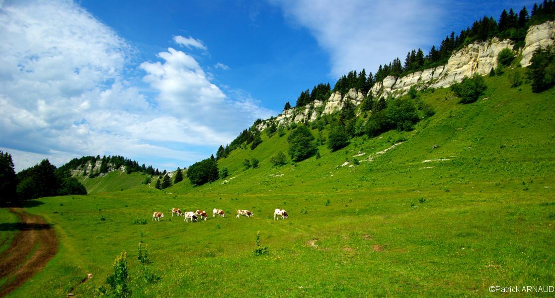 Le Pas de Bellecombe