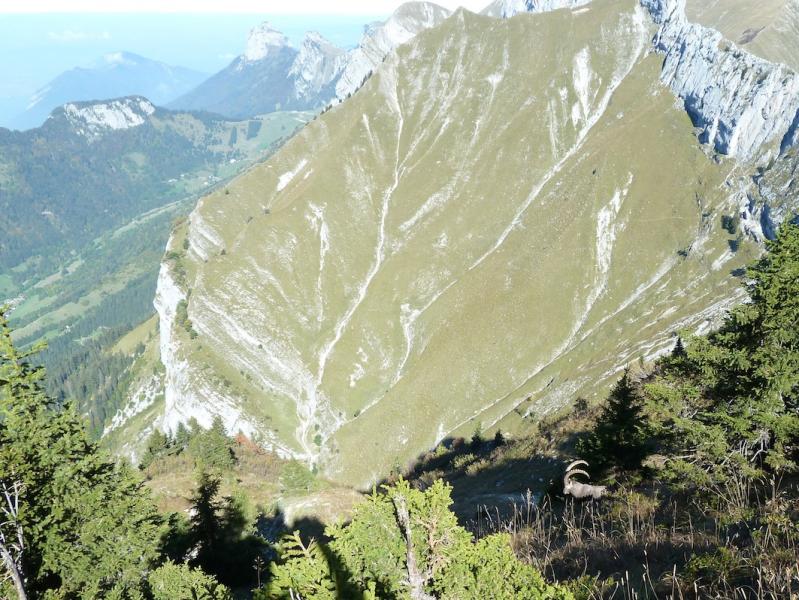 Le Pontet au dessus de Montmin