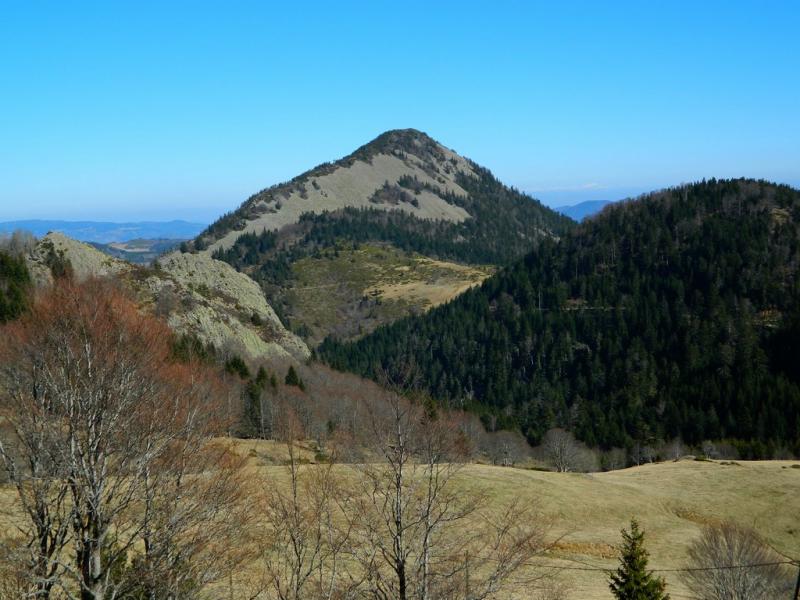 Le Suc de Sara
