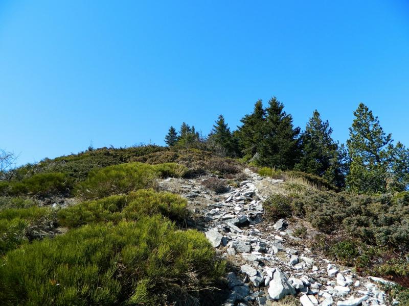 Le Suc de Sara