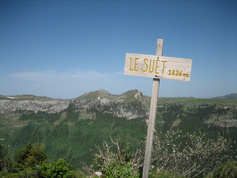 Le Suet