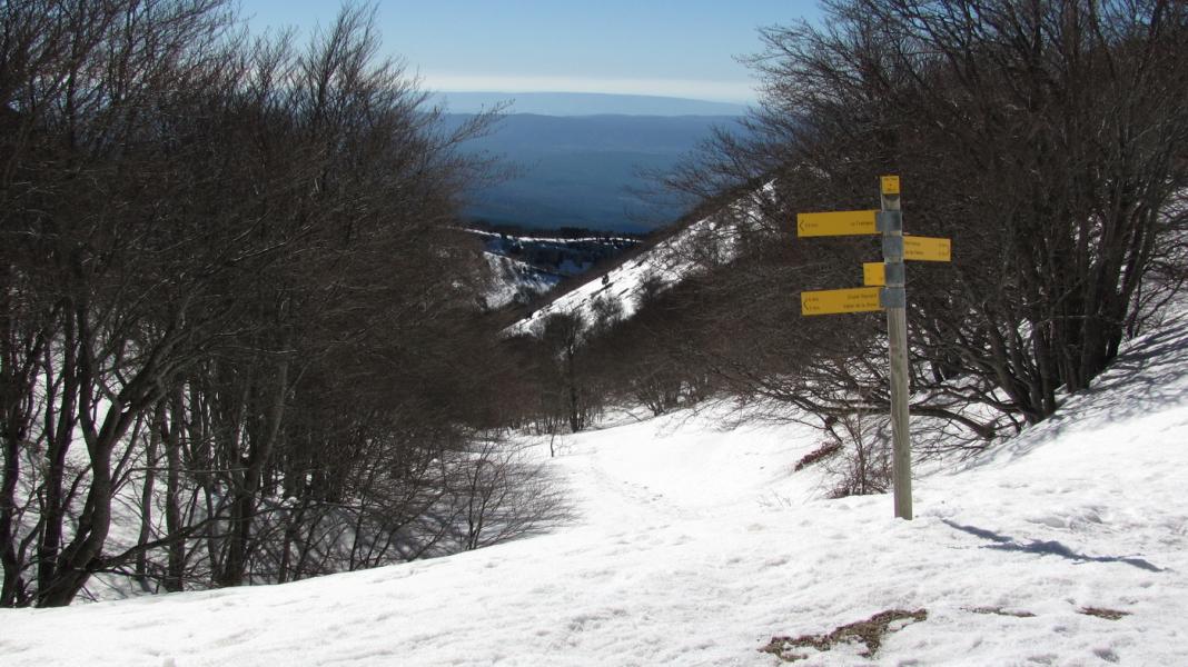 Le bas de la partie la plus skiable.