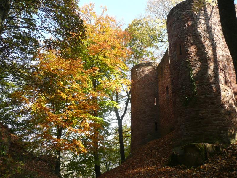 Le chateau de Montclair