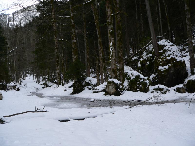 Le chemin au début de la Combe des Eparres