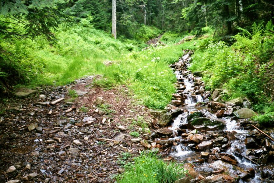 Le chemin et le ruisseau