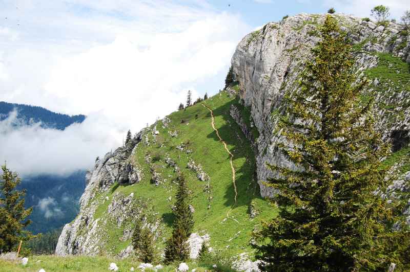 Le départ du sentier.