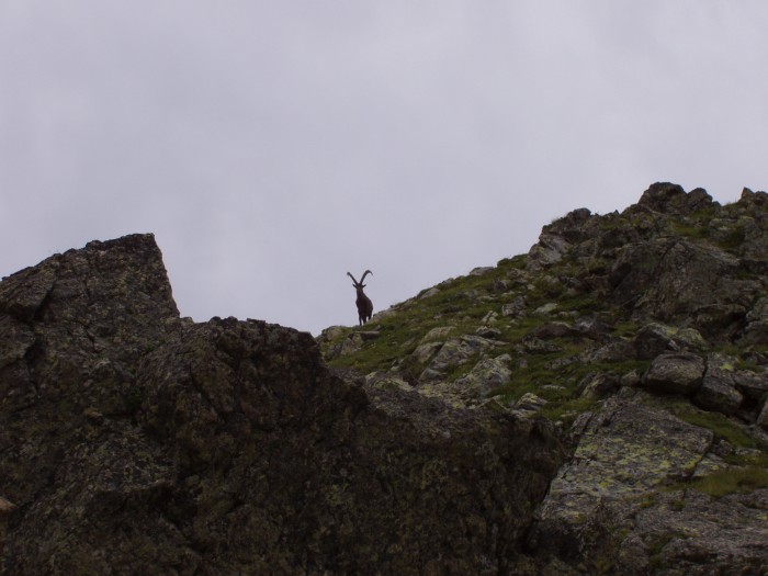 Le gardien du col