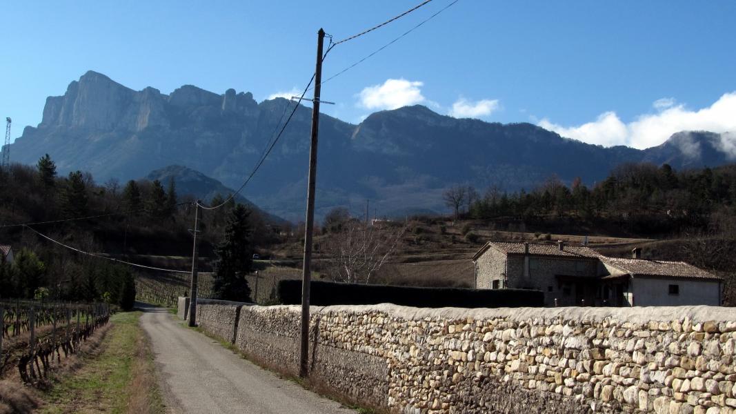 Le haut vu du bas ...