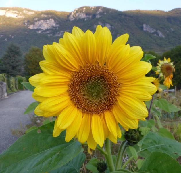 Le jour se lève sur Montmelian