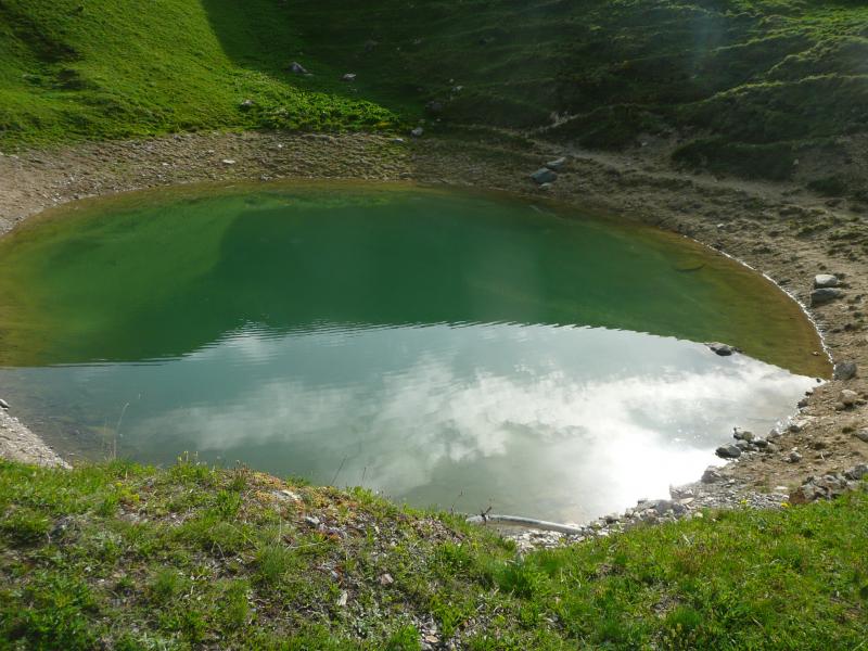 Le lac de Sécheron ou le Yin et le Yang