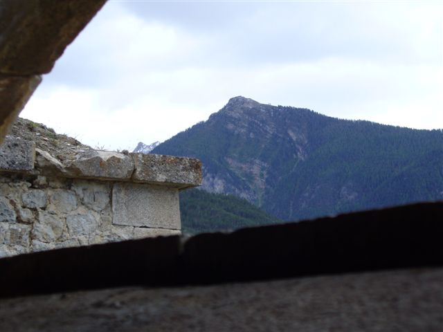Le melezin