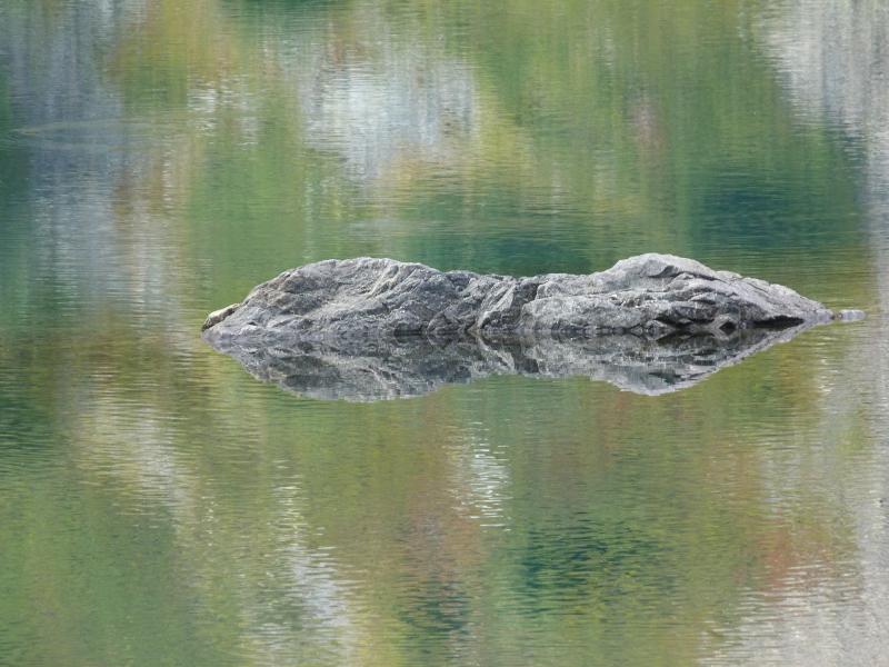 Le monstre du Lac