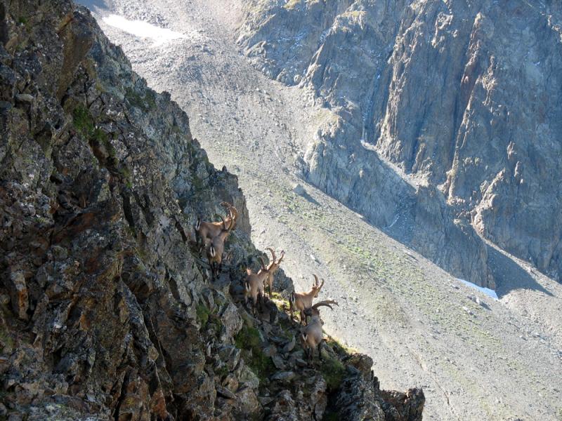 Le pied sur les amis...