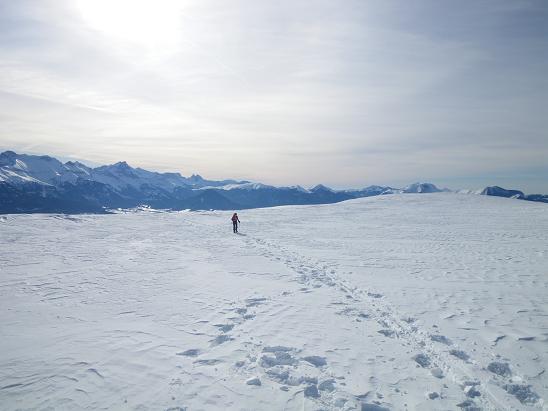 Le plateau