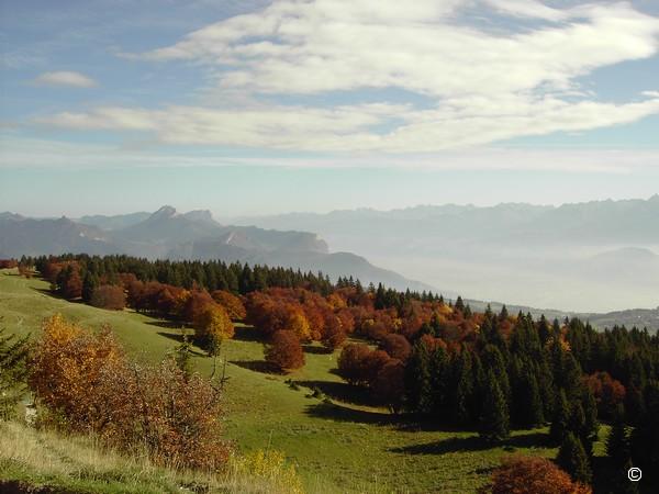 Le plateau de la Molière.