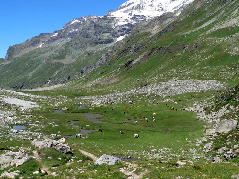 Le pozzine du Plan des Eaux