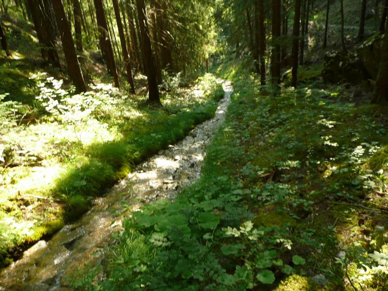 Le ruisseau canalisé dans un vieux pavement
