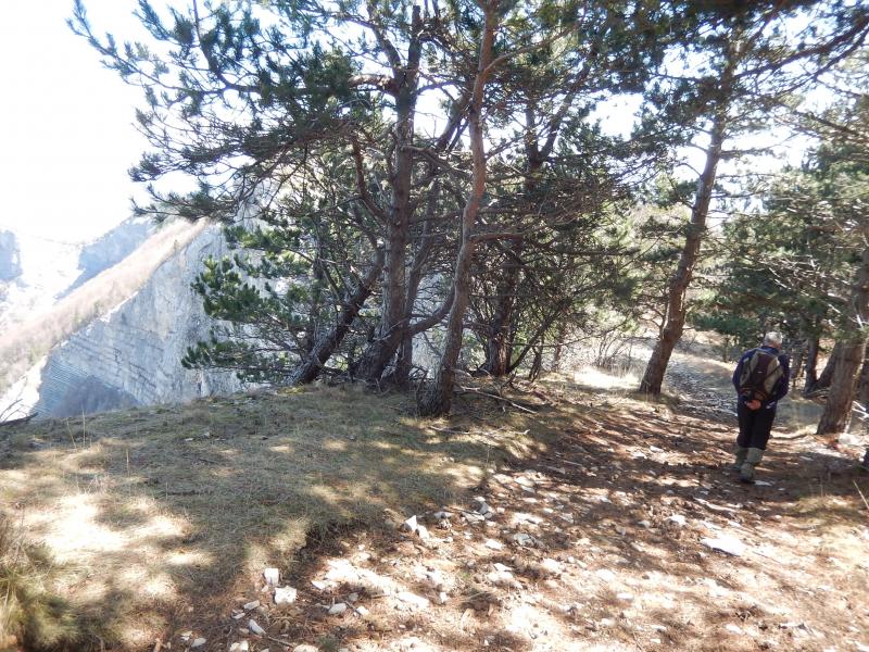 Le sentier de crête