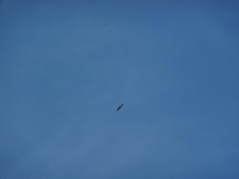 Le start est donné !