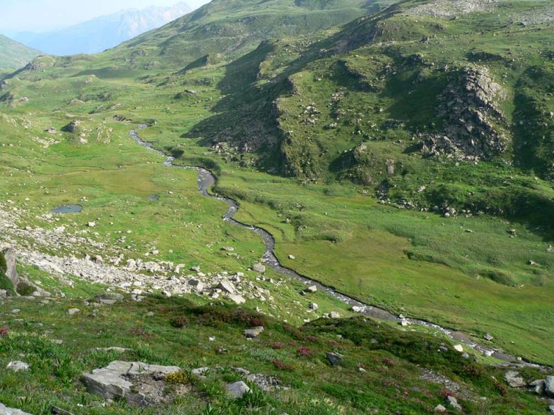 Le vallon de Neuvache