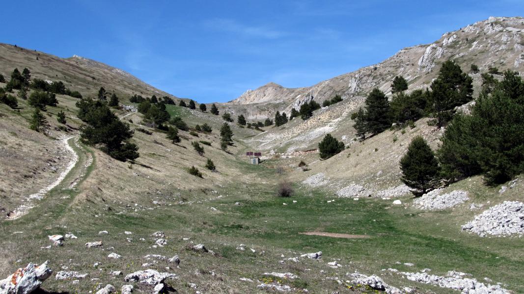 Le vallon et le sommet au fond.