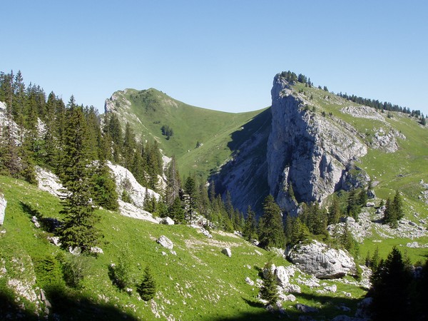 Léchaud, Petit Som