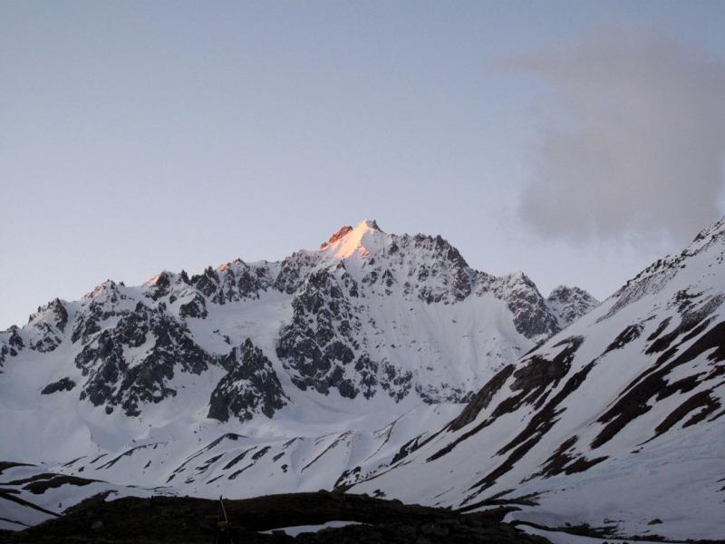 Les Agneaux