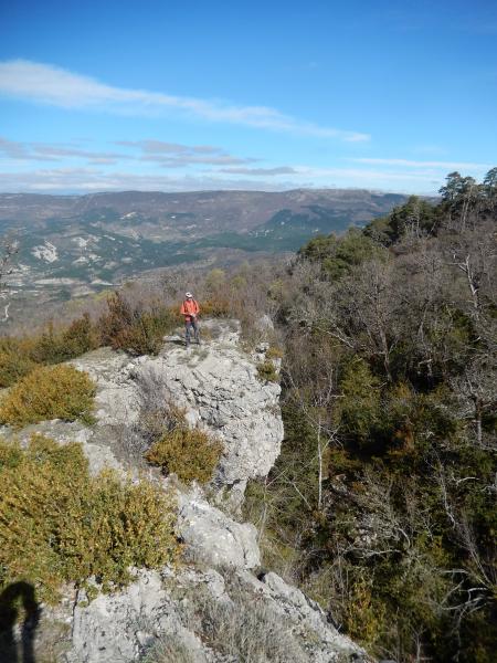 Les Avens