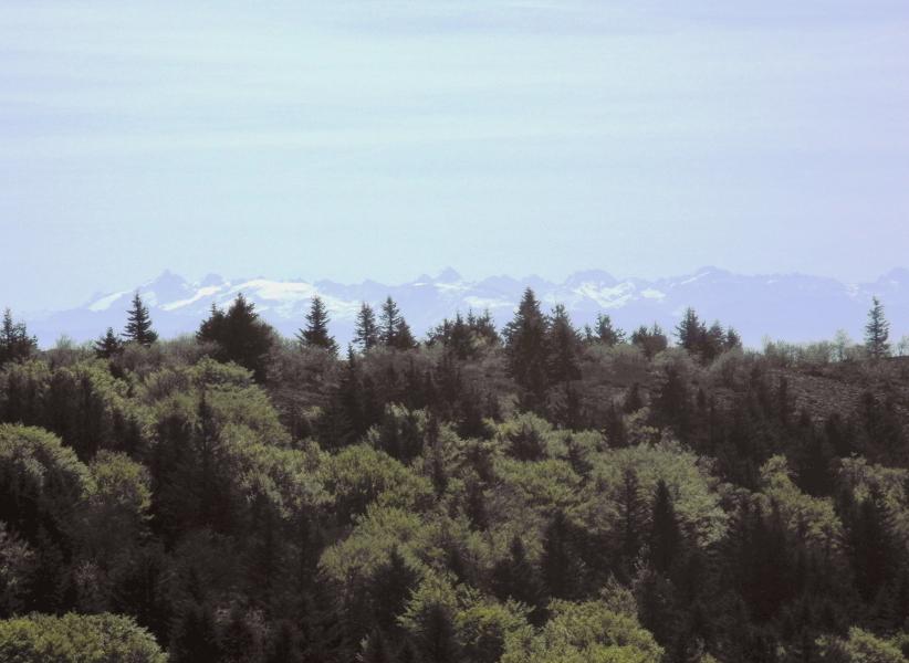 Les Ecrins