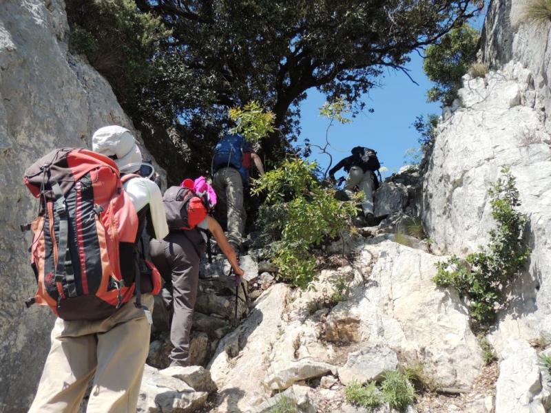 Les Escaliers