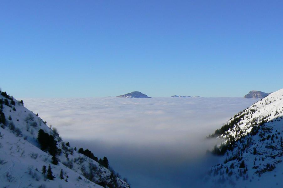 Les Iles de chartreuse émergent...