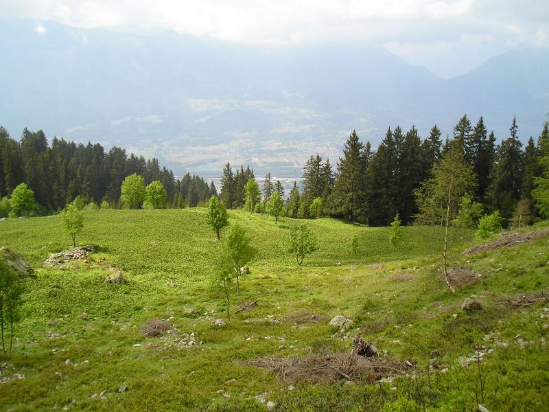 Les Teppes
