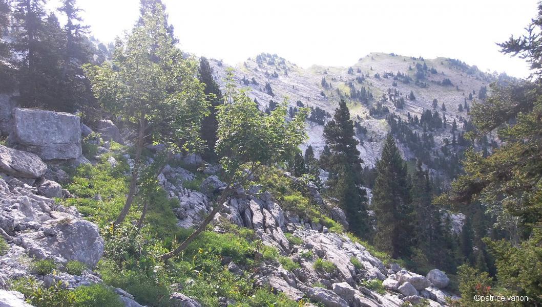 Les dalles de lapiazs.