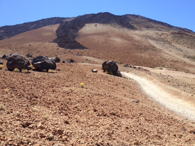 Les oeufs du Teide