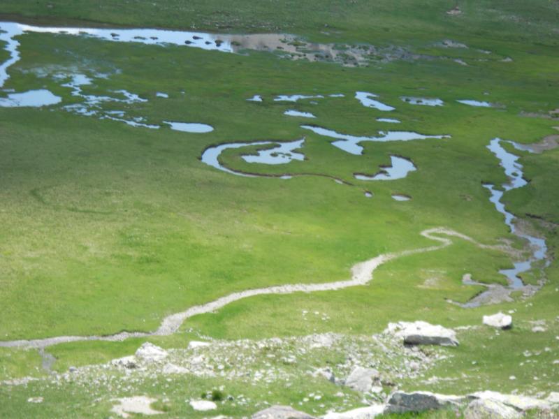 Les pozzines du vallon de l'Estrop