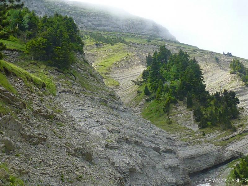Les ravines