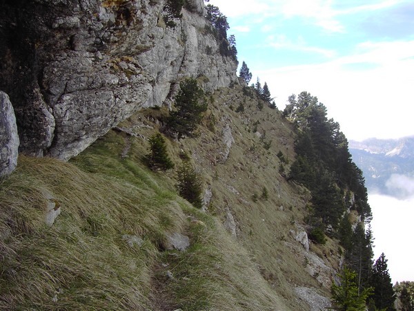 Les vires