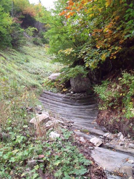 Lit du ruisseau.