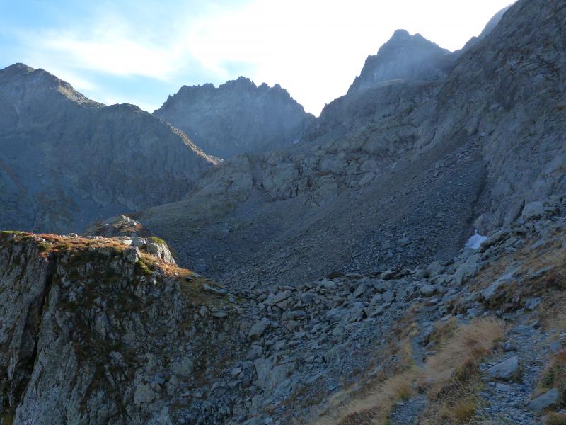 Lueurs sur le cirque