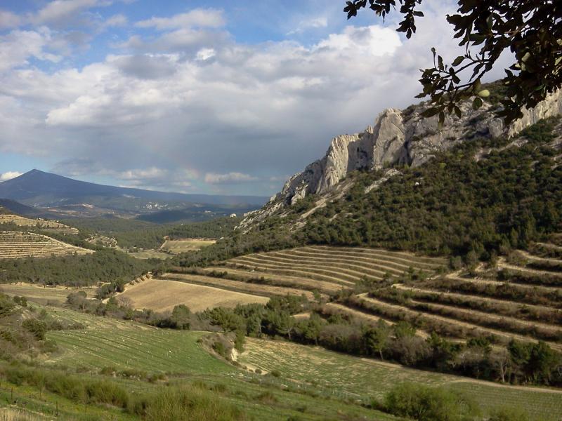 Lumiéres provençales