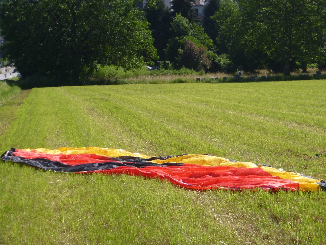 L’aigle d’Adelboden
