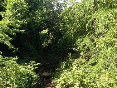 l&apos;ancien sentier direct vers l&apos;Oeillon