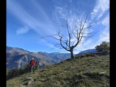 Even in the quietest moments (Villard Notre Dame)