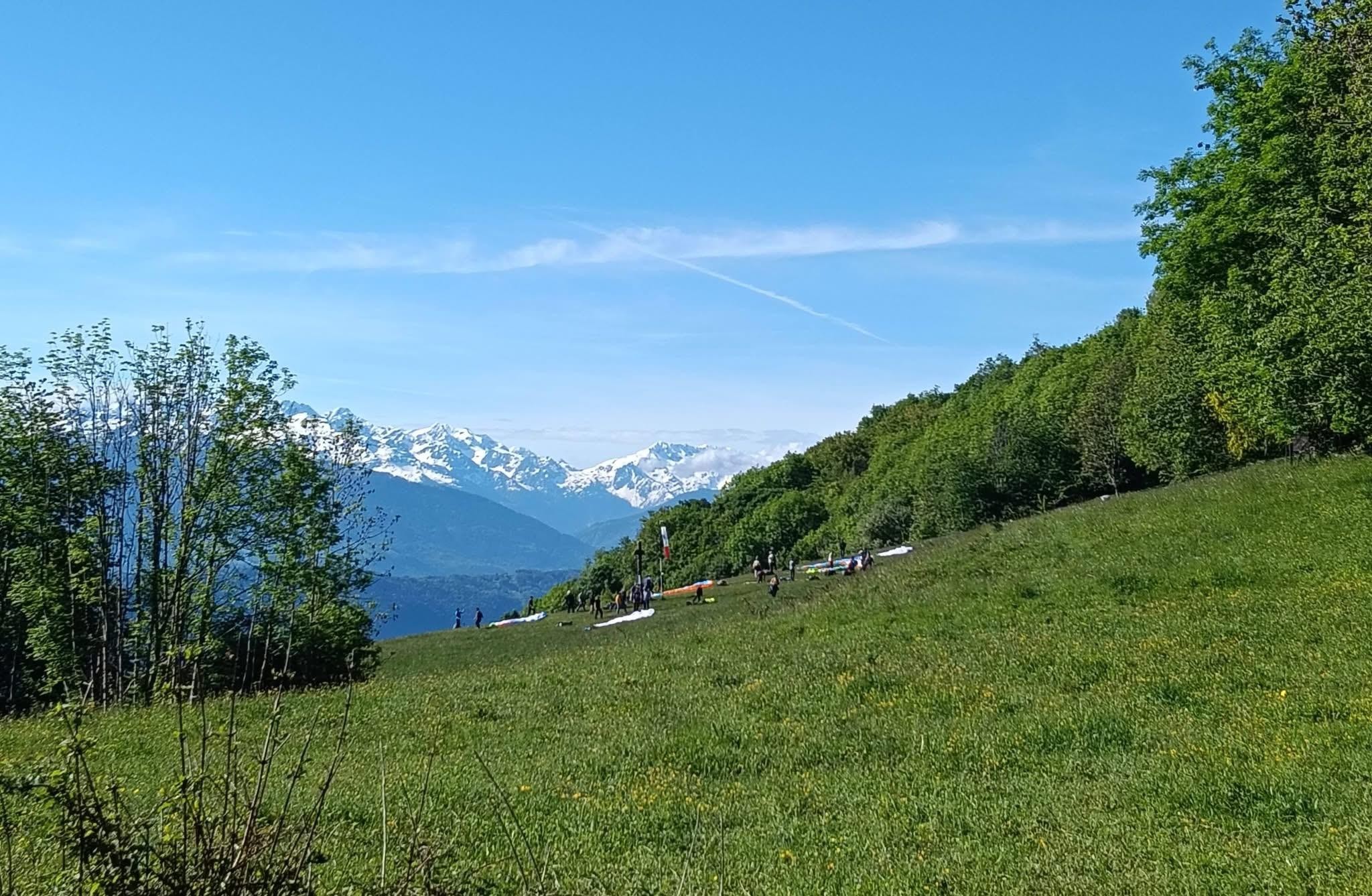 L'Armée des 12 singes 