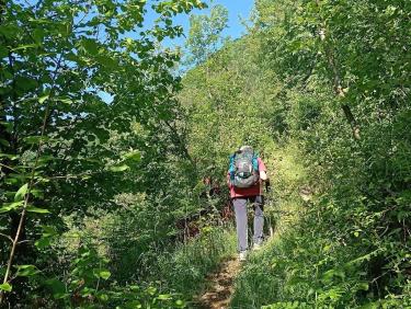 L'Armée des 12 singes 