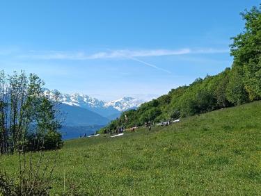 L'Armée des 12 singes 