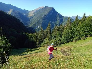 L&apos;attrait de la nouveauté !